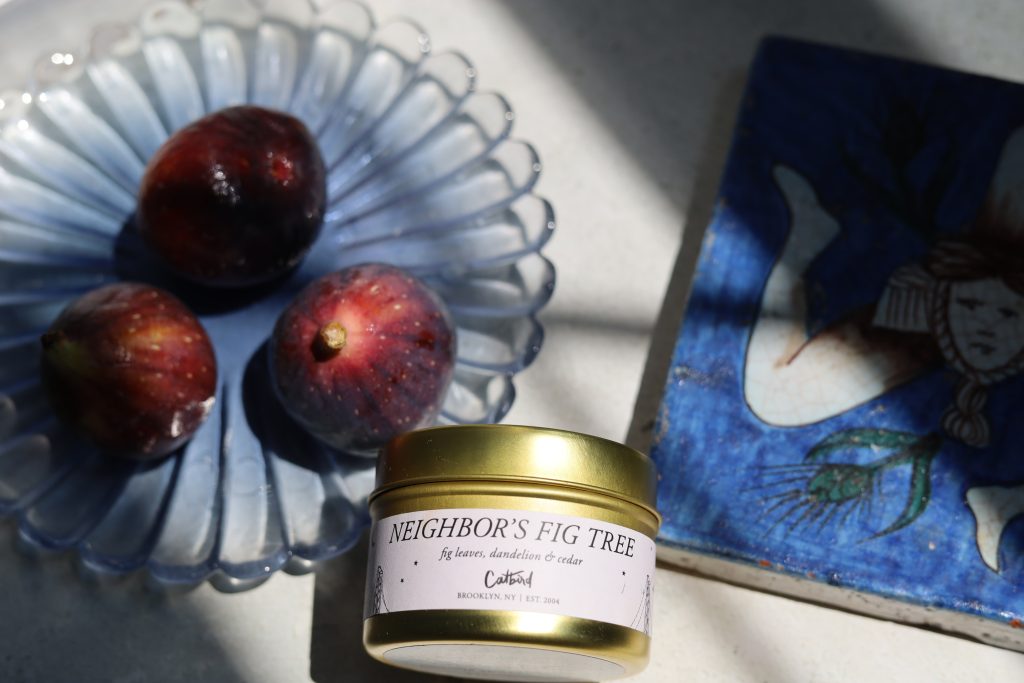 ripe figs on blue plate with candle and italian tile 