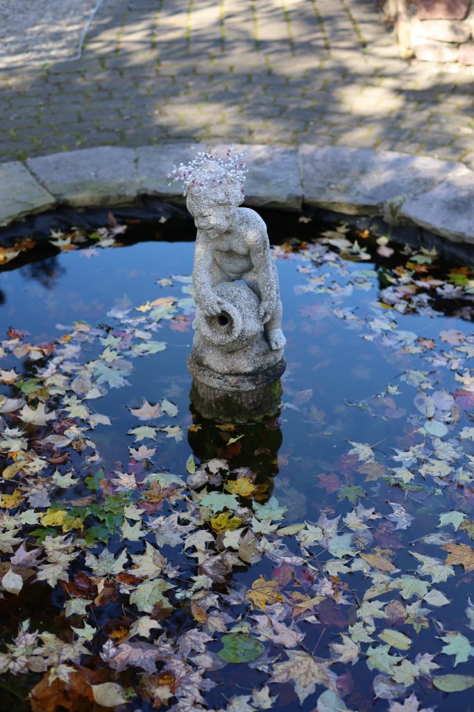 water fountain with fallen leaves 