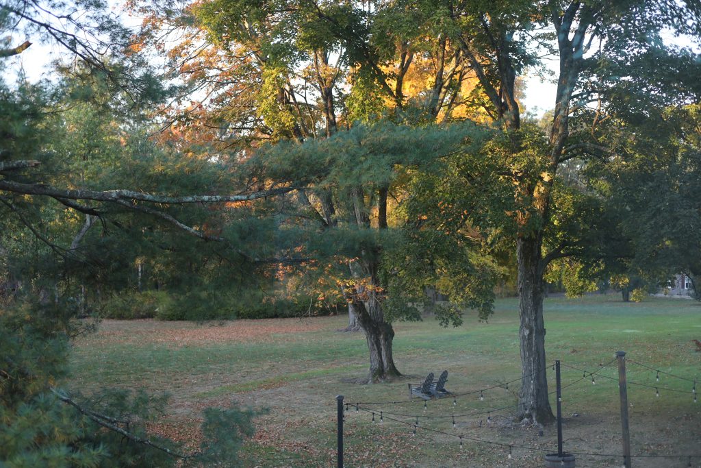 fall pasture with trees 