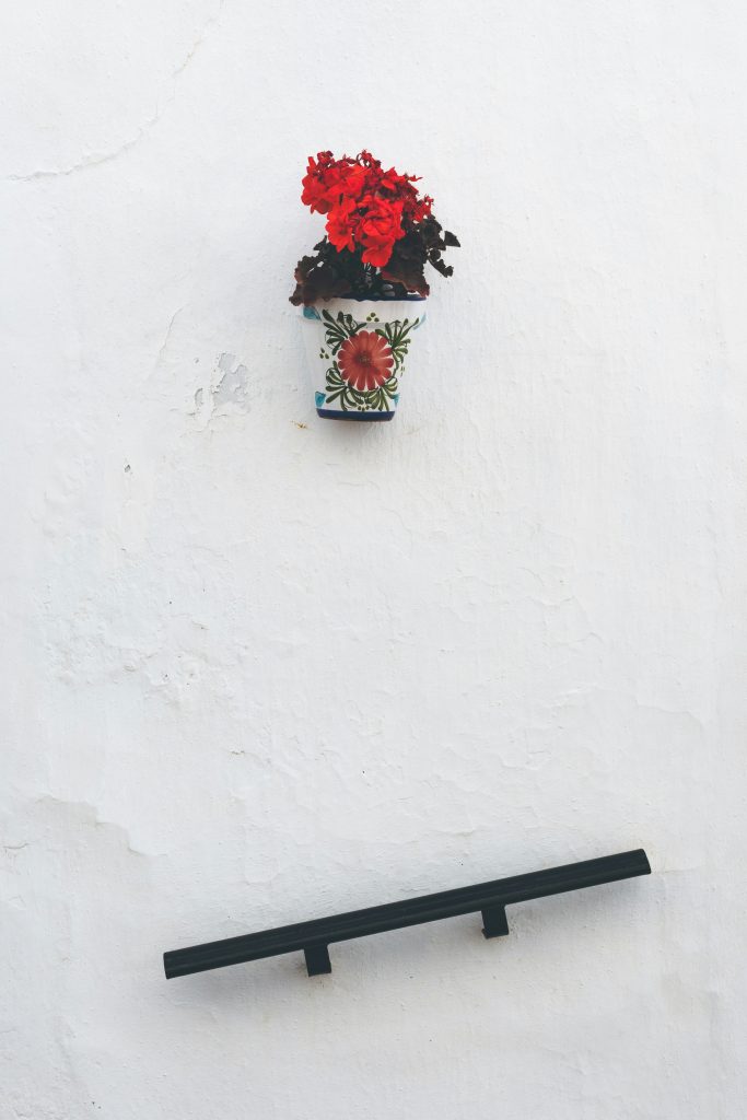 flower pot on wall