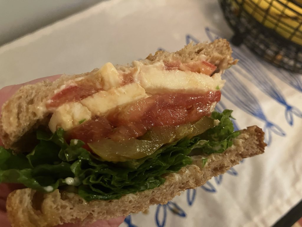 up close tomato and cheese sandwich with vegetables 
